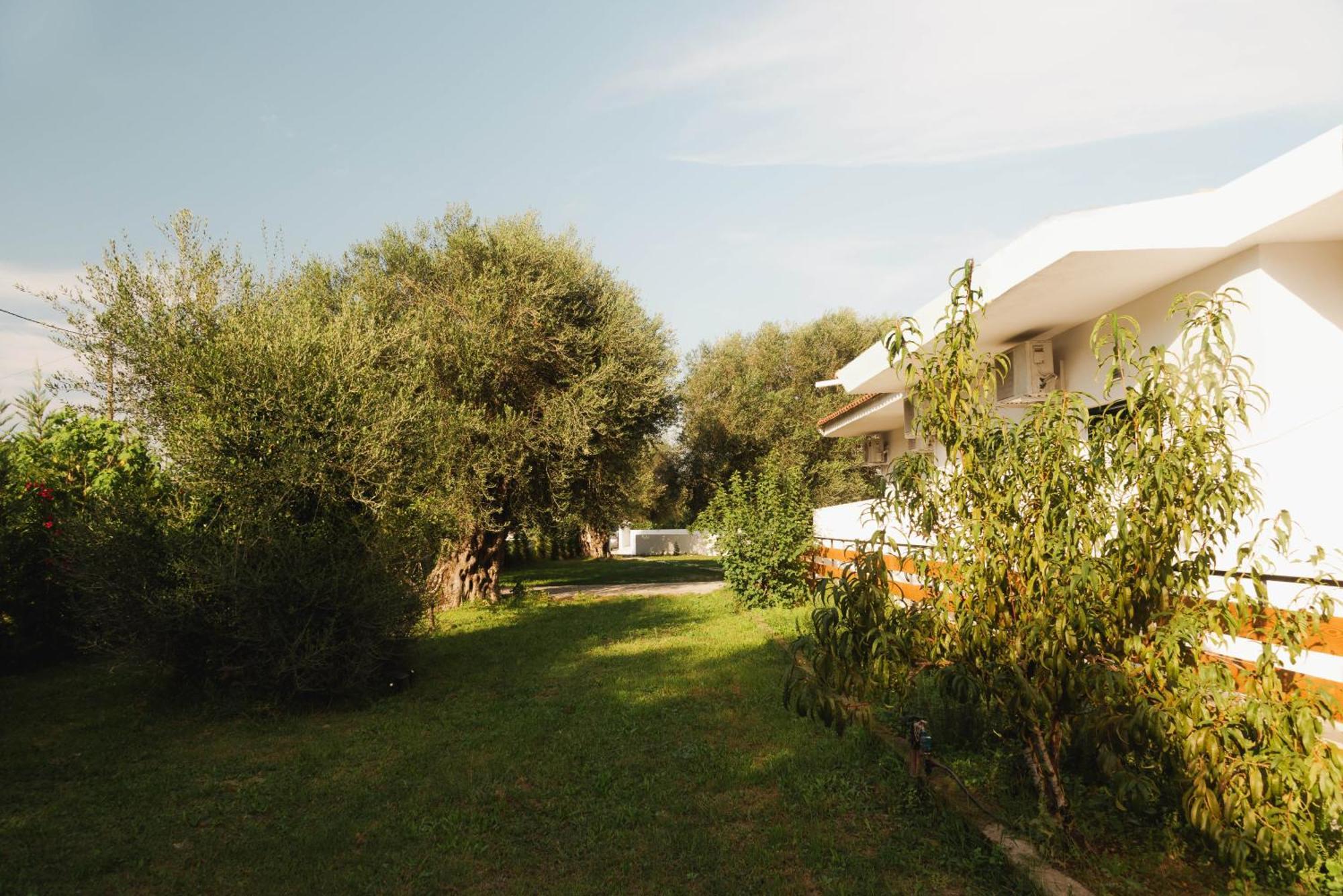 Olive Grove Suites Boutique Hotel Moraitika Exterior photo